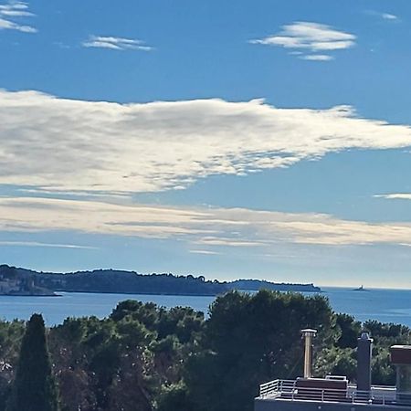Villa Salvia Rooms And Apartments Rovinj Exterior foto