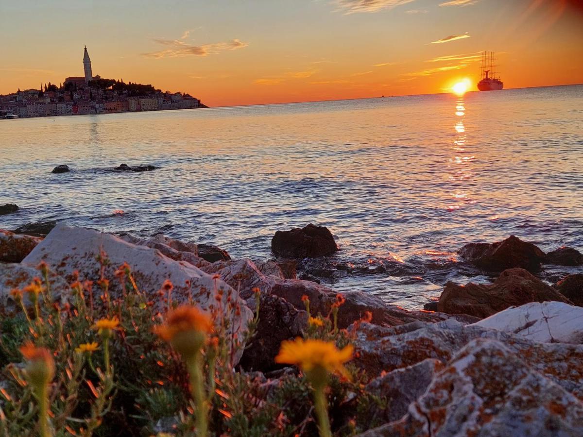 Villa Salvia Rooms And Apartments Rovinj Exterior foto